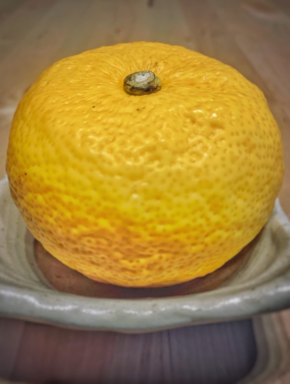Owoc yuzu jest bardzo popularny w Japonii