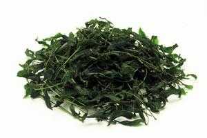 zielona herbata typu matcha przed zmieleniem liÅ›ci