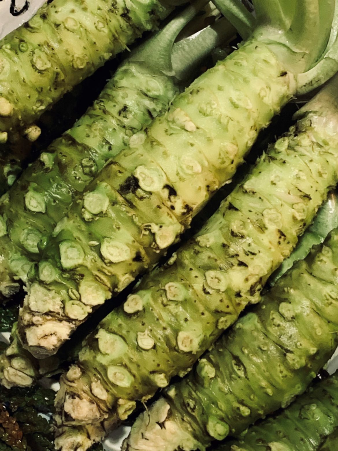 wasabi jest warzywem drogim nawet w Japonii